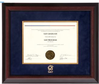 Southern Alberta Institute of Technology Suede Mat 15 in. x 18 in. Executive Diploma Frame