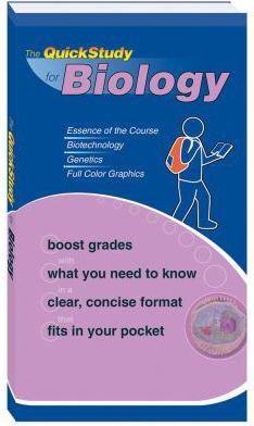 Product 207